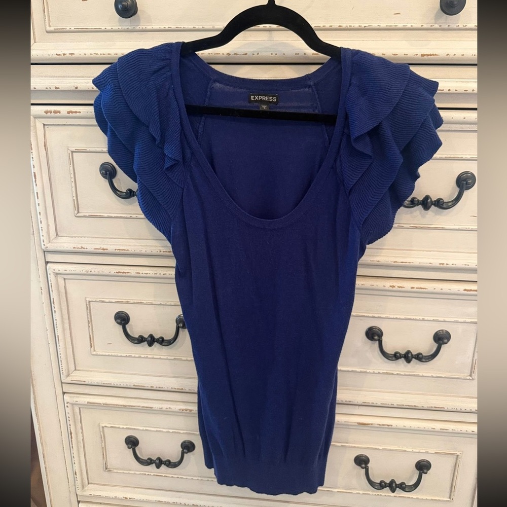 Express Royal Blue V-Neck Sweater